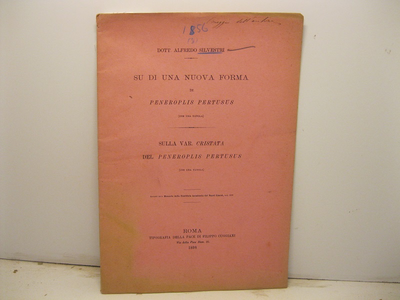 Su di una nuova forma di Peneroplis pertusus (con una tavola); Sulla var. cristata del Peneroplis pertusus (con una tavola)